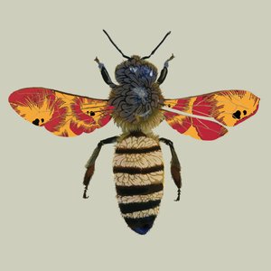 Abeja, 2010 de Sarah Hough