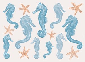 Caballitos de mar y estrellas de mar, 2017 de Sarah Hough