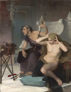 Los Bacidae