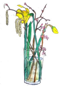 Narcisos de Sarah Thompson Engels