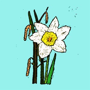 Narcisos, 2015 de Sarah Thompson Engels