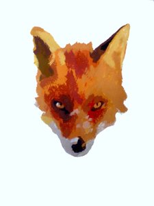 Cara de zorro de Sarah Thompson Engels