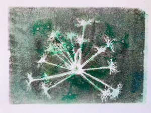 Cabeza de semilla I de Sarah Thompson Engels
