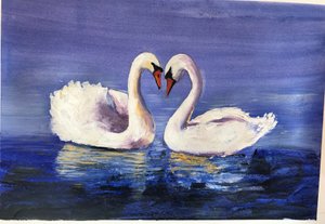 Cisnes de Sarah Thompson Engels