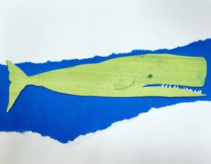 ballena, 2019