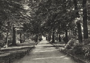 Berlín: Tiergarten de Sasha Stone