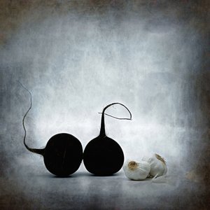  de Saskia Dingemans
