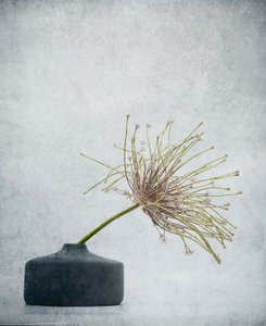  de Saskia Dingemans