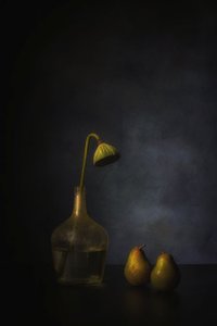  de Saskia Dingemans