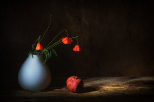  de Saskia Dingemans