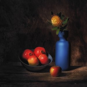  de Saskia Dingemans