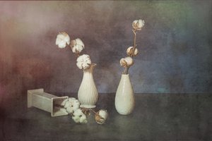  de Saskia Dingemans