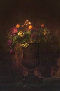 de Saskia Dingemans