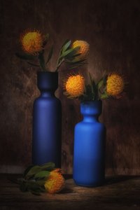  de Saskia Dingemans