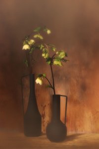  de Saskia Dingemans