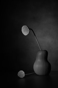  de Saskia Dingemans