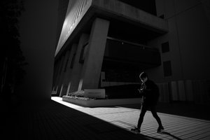 Camino urbano en la luz