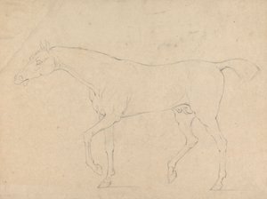 Un Caballo de Sawrey Gilpin