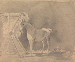 Un caballo pastando