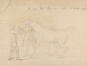 Un caballo y tres peluqueros