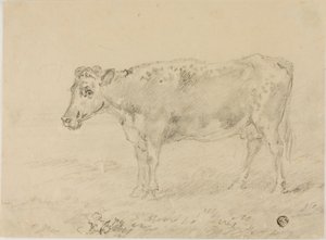 Vaca de Sawrey Gilpin
