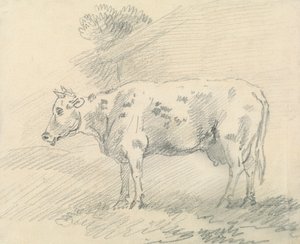 Vaca de Sawrey Gilpin