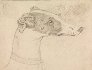 Retrato de cabeza de galgo de Sawrey Gilpin