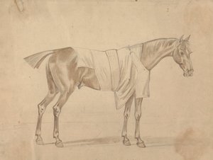 Caballo vestido con manta de Sawrey Gilpin