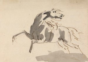 Caballo corriendo hacia la izquierda...