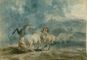 Caballos peleando (acuarela sobre grafito en papel de textura pesada)