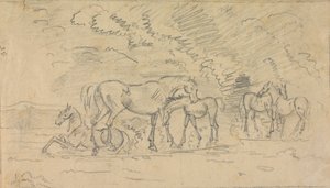 Caballos en un prado