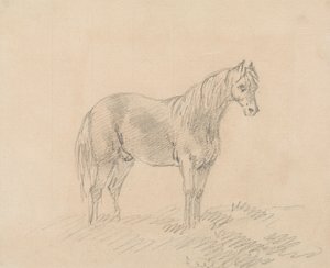 Caballo macho de Sawrey Gilpin