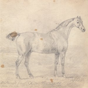 Caballo del Sr. Plumer de Sawrey Gilpin