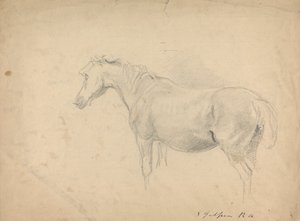 Boceto de un caballo de Sawrey Gilpin