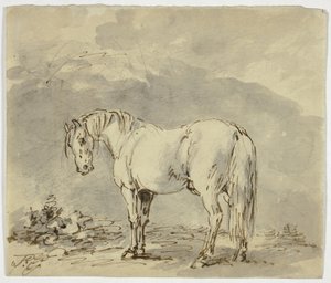 Caballo de Pie con la Cabeza Girada