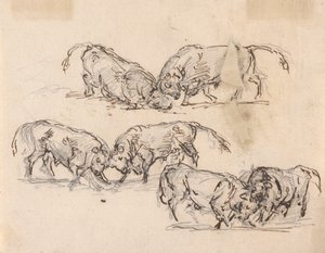 Estudios sobre las corridas de toros de Sawrey Gilpin