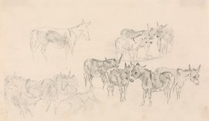 Estudios sobre burros de Sawrey Gilpin