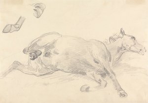Estudio de un caballo tumbado