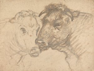 Dos toros de Sawrey Gilpin