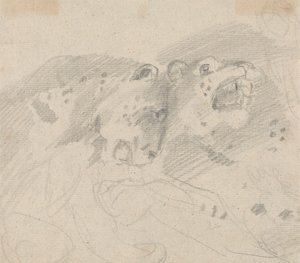 Dos leopardos de Sawrey Gilpin