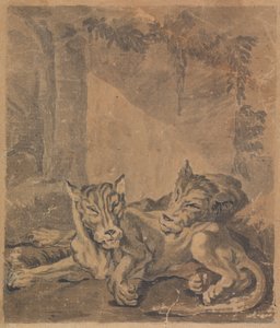 Dos tigres