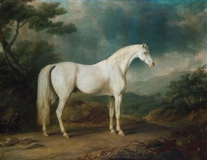 Caballo blanco en un paisaje boscoso, 1791