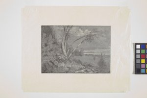 Paisaje (grabado en madera) de School American