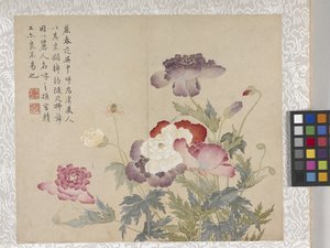 Álbum de flores de 8 hojas, mediados del siglo XVIII (tinta y color sobre papel) de School Chinese