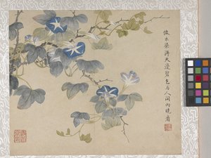 Álbum de flores de 8 hojas, mediados del siglo XVIII (tinta y color sobre papel) de School Chinese