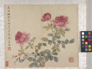 Álbum de flores de 8 hojas, mediados del siglo XVIII (tinta y color sobre papel)