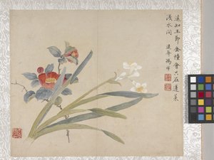 Álbum de flores de 8 hojas, mediados del siglo XVIII (tinta y color sobre papel) de School Chinese