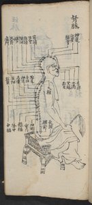 Puntos de acupuntura a lo largo de la columna vertebral y la cabeza, de Jing Guan Qi Zhi, 