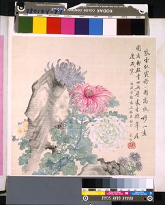 Álbum de flores y pájaros, fecha desconocida (tinta y color sobre seda) de School Chinese