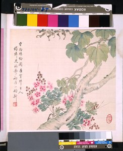 Álbum de flores y pájaros, fecha desconocida (tinta y color sobre seda)